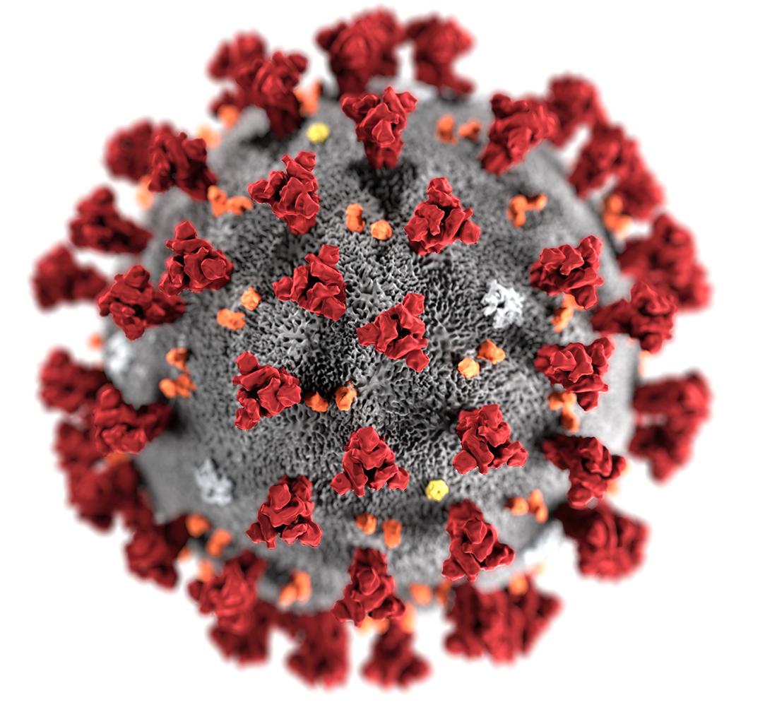 Coronavirus-CDC - Copy